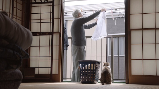 父の日の猫動画、洗濯物を干すお父さんと側に佇む猫