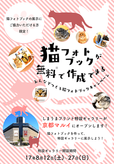京都マルイで開催される「みんなでつくる猫フォトブック展」