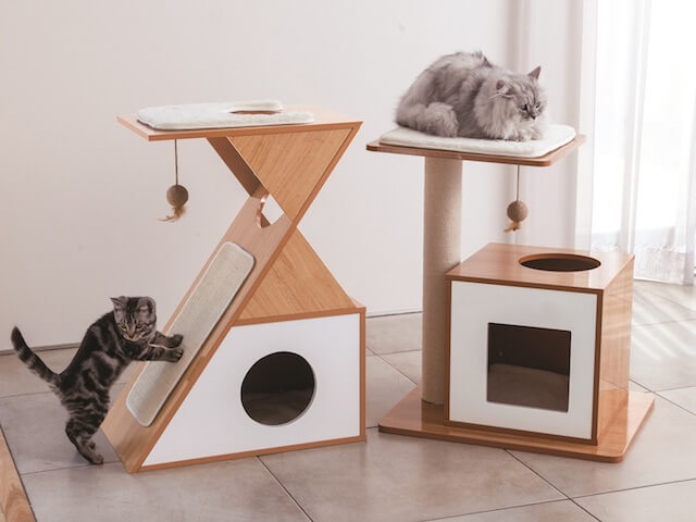 ディノスから新発売されたオシャレな猫用アイテム4選 | Cat Press（キャットプレス）