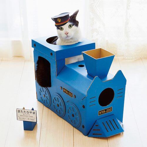車掌さんの帽子をかぶって機関車型の猫ハウスに乗る猫