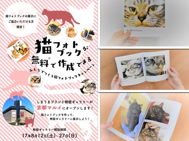 無料で猫のフォトブックを作成＆展示してもらえるキャンペーンが開催中