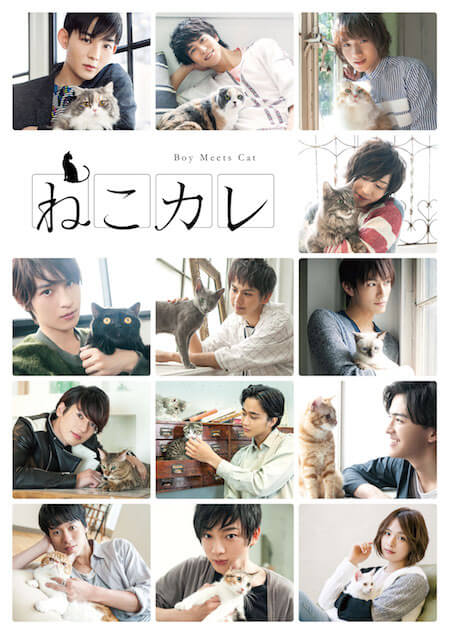 13名の俳優×猫の写真集 by ムック本「ねこカレ」