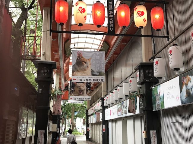 大阪キタ、曽根崎お初天神通商店街アーケードに設置された「さくらねこ」啓発の装飾