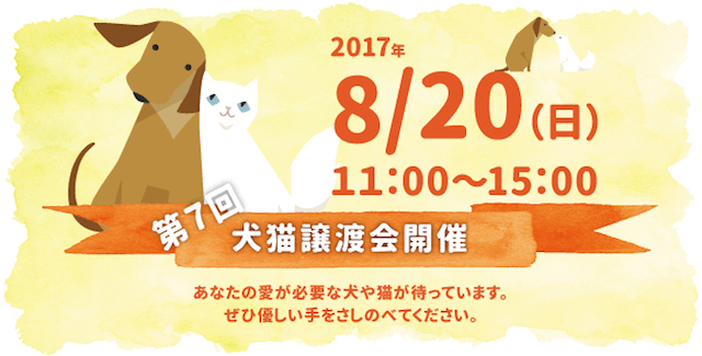 関西ペット協会 第7回犬猫譲渡会