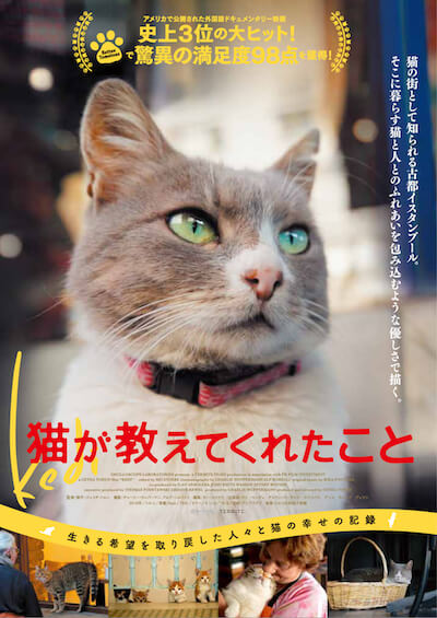 猫ドキュメンタリー映画「猫が教えてくれたこと」のビジュアルポスター