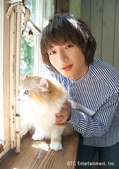 俳優「植田圭輔」×猫「アメリカンカール」の写真