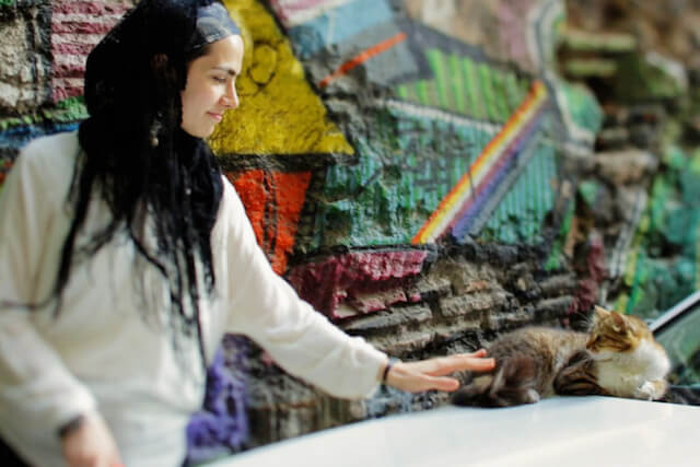 町の女性に可愛がられる猫 in トルコ・イスタンブール