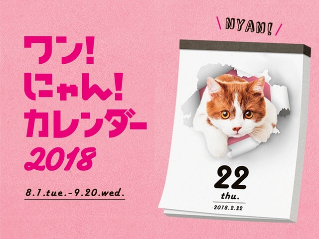 愛猫の写真がカレンダーになるチャンス♪ ワンにゃんカレンダー2018