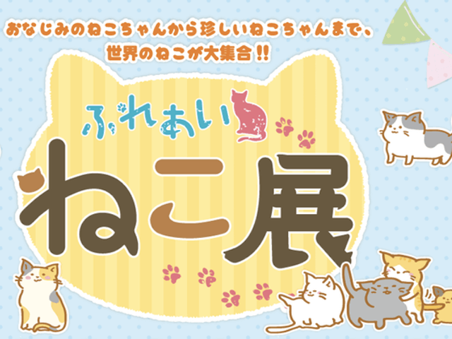 世界中の珍しい猫と触れ合える「ふれあいねこ展」札幌の東急百貨店で開催