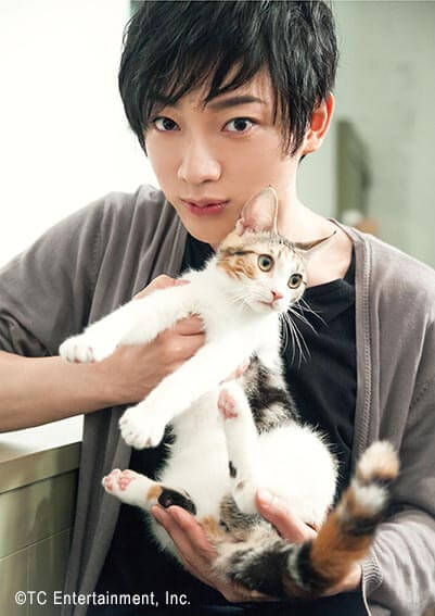 俳優「和合真一」×猫「ラムキン」の写真