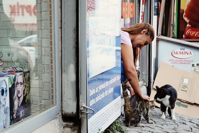 町の人に可愛がられる猫 in トルコ・イスタンブール