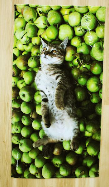 岩合光昭さんが撮影した「リンゴの上で寝転ぶ猫」のビーチタオル