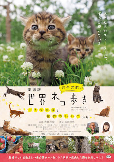る映画、「劇場版 岩合光昭の世界ネコ歩き コトラ家族と世界のいいコたち」