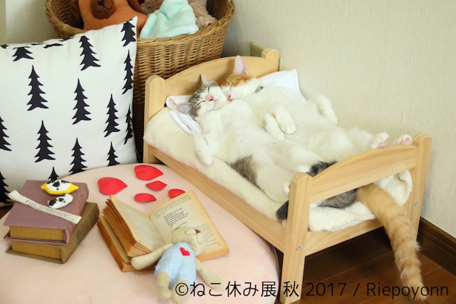 Riepoyonnの作品、仲良くベッドで寝る双子猫「アメリ」と「カヌレ」