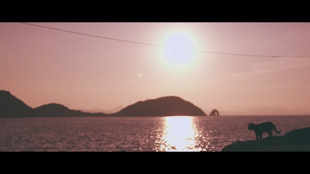 猫島・相島で撮影したエド・シーランのミュージックビデオ