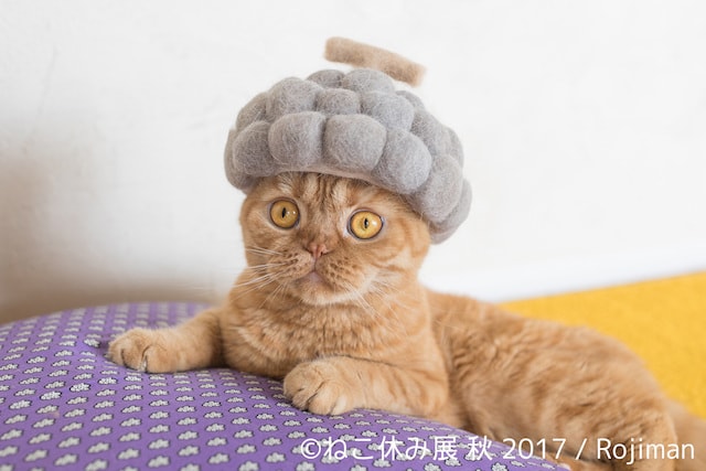 rojimanの猫の抜け毛で作った帽子作品1