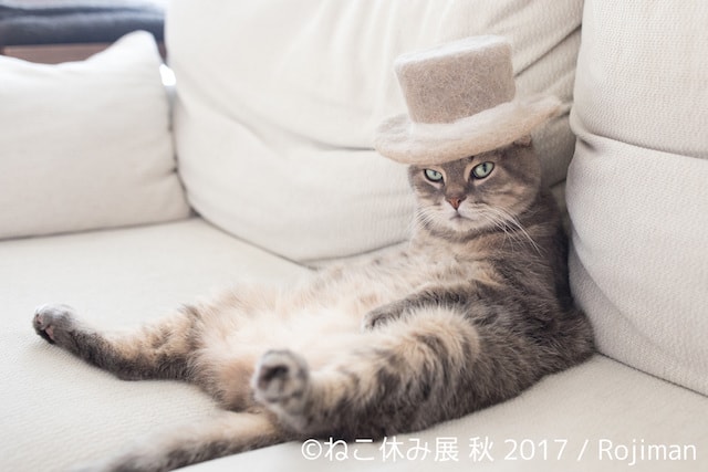 rojimanの猫の抜け毛で作った帽子作品2
