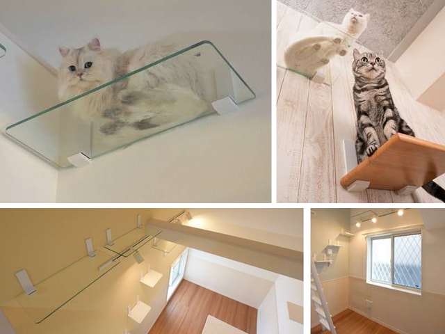 家で愛猫の肉球が見放題、DIYで設置できる透明キャットウォーク＆キャットステップ