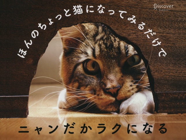 猫の写真と名言で綴った書籍「猫が教えてくれたほんとうに大切なこと」