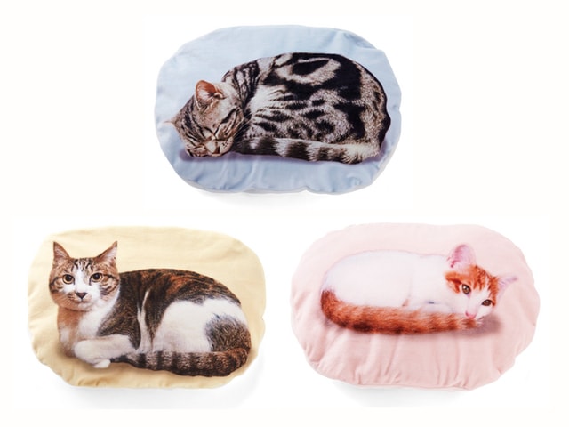 猫がゴロゴロ クッションブランケットの3種類のデザイン（アメリカンショートヘア、キジ白、茶白）
