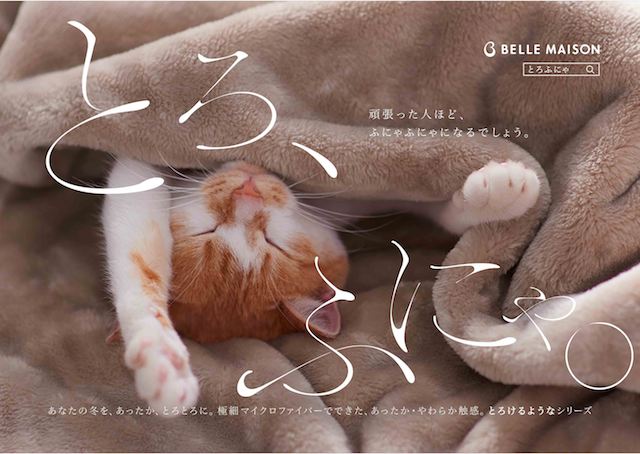 ベルメゾンの「とろけるような毛布」でバンザイして眠る猫