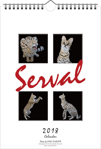 サーバルの壁掛けカレンダー「Serval Calendar 2018」