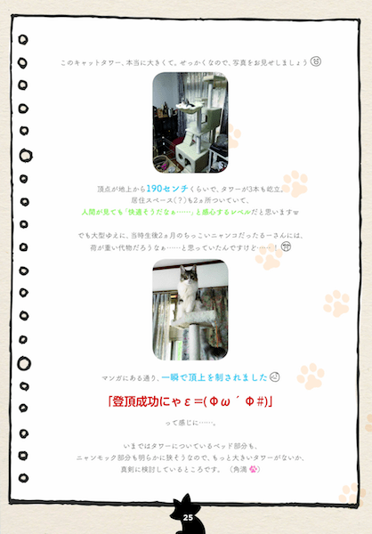 人気猫ブログ「角満さんちのるーさん」の単行本