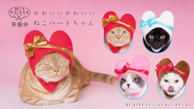 愛猫がラブラブなハート型に変身 かわいい猫のかぶりもの最新作が登場 Cat Press キャットプレス