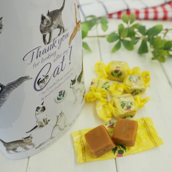ガーディナー バニラファッジ　キャット缶 by カルディーコーヒーファーム
