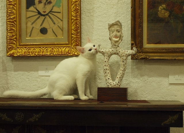 美術館内でくつろぐ猫 by 松山庭園美術館