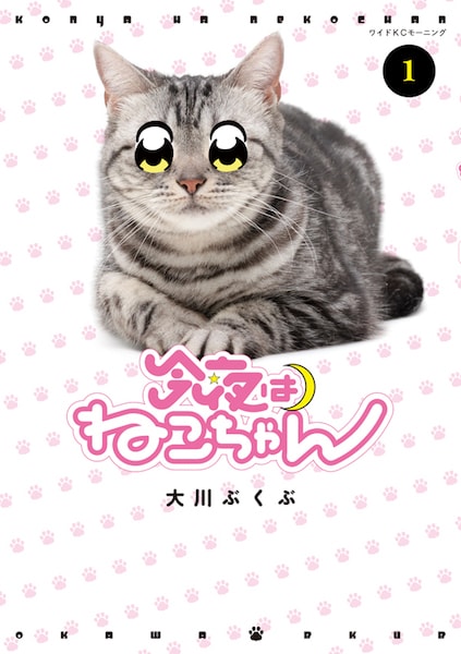 猫マンガ「今夜はねこちゃん」第一巻の表紙