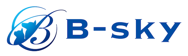 株式会社B-sky