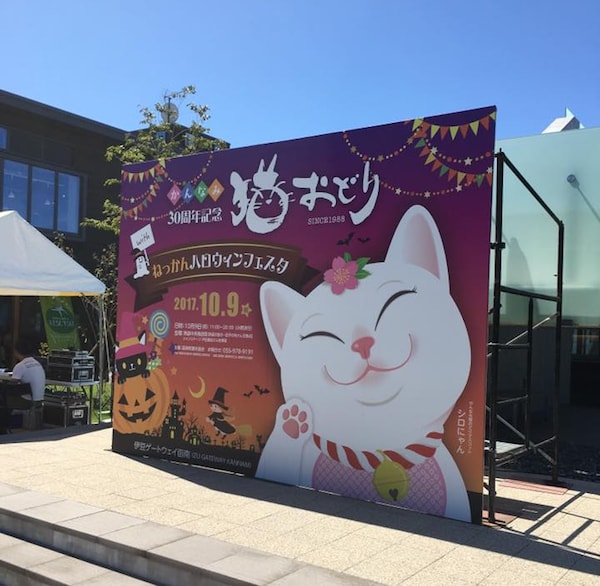 猫メイクで踊って楽しむ伊豆の奇祭 第31回 かんなみ猫おどり が8 4に開催 Cat Press