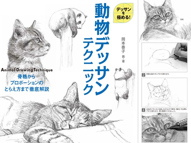 猫や犬など動物の描き方を徹底解説した書籍「動物デッサンテクニック 