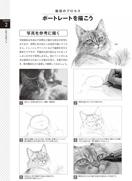 猫や犬など動物の描き方を徹底解説した書籍 動物デッサンテクニック Cat Press キャットプレス