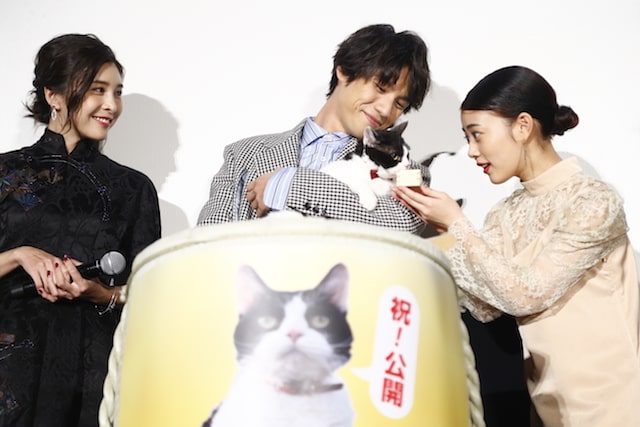 映画「旅猫リポート」公開初日舞台挨拶で猫用ミルクを飲む主演猫のナナ