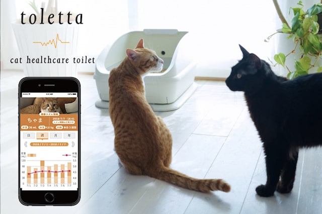 スマート猫トイレ「TOLETTA（トレッタ）」