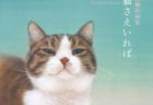 台湾で話題のネコ描き画家チン・ぺイイ（陳 珮怡）氏の初画集が刊行＆個展も開催