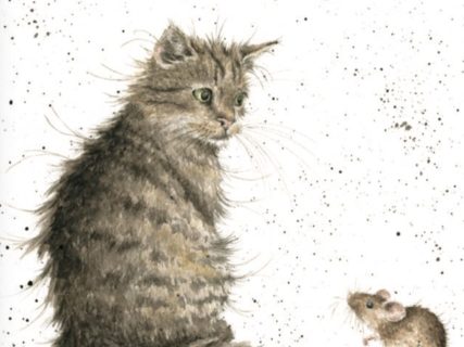 イギリスの動物画家ハンナ・デールが描く猫グッズのお店が期間限定でオープン