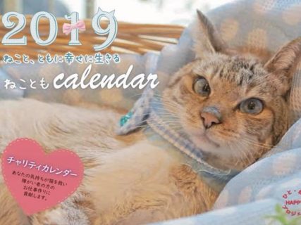 幸せをつかんだ猫のチャリティーカレンダー、福岡ねこともの会が発売中