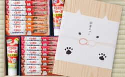 猫を飼っている人への贈り物にピッタリ！CIAOちゅ～る＆ちゅ〜ぶのお歳暮ギフト