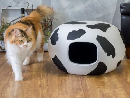 かまくら型のキャットハウス「猫かまくら」に可愛い牛柄が登場したニャ