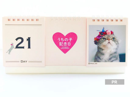 Instagramで注目のNyanConから、 おしゃれな日めくり猫カレンダー「ニャンカレ2019－花と猫－」が登場