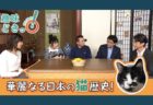 今は第3次猫ブーム！？NHK Eテレで「不思議な猫世界」全8回を放送開始