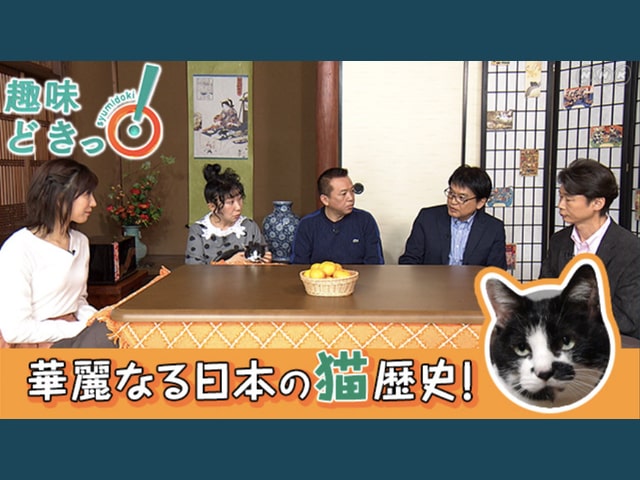 今は第3次猫ブーム Nhk Eテレで 不思議な猫世界 全8回を放送開始 Cat Press キャットプレス