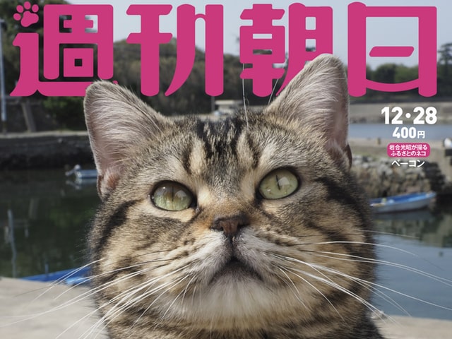 週刊朝日が2年連続で「猫特集」を刊行！表紙の撮影は今年も岩合さんなのニャ