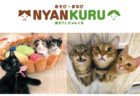 譲渡型の猫カフェ「にゃんくる」東海地区初となる新店舗を名古屋にオープン
