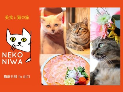 JALパックで行く猫旅館への旅「猫庭日和ツアー」が登場！1名から参加OKニャ