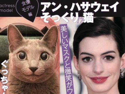 今年の年末も猫のスクープニュースが目白押し！「週ニャン大衆」の第2弾が発売