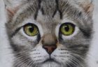 超リアルな猫のクレヨン画展が12/26から開催！愛猫の絵画制作もオーダーできるニャ